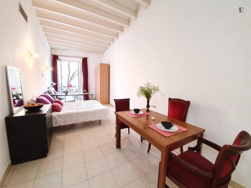 Furnished studio in Ciutat Vella