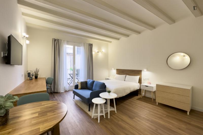 Furnished studio in Ciutat Vella