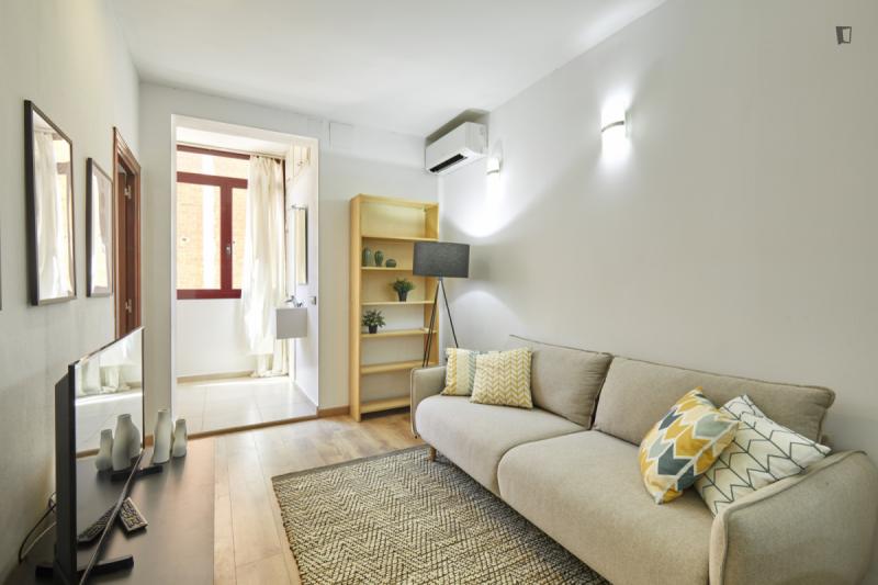 Furnished 4-bedroom flat in Sant Martí