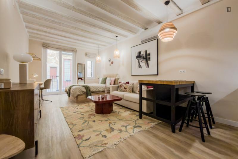 Furnished studio in Ciutat Vella