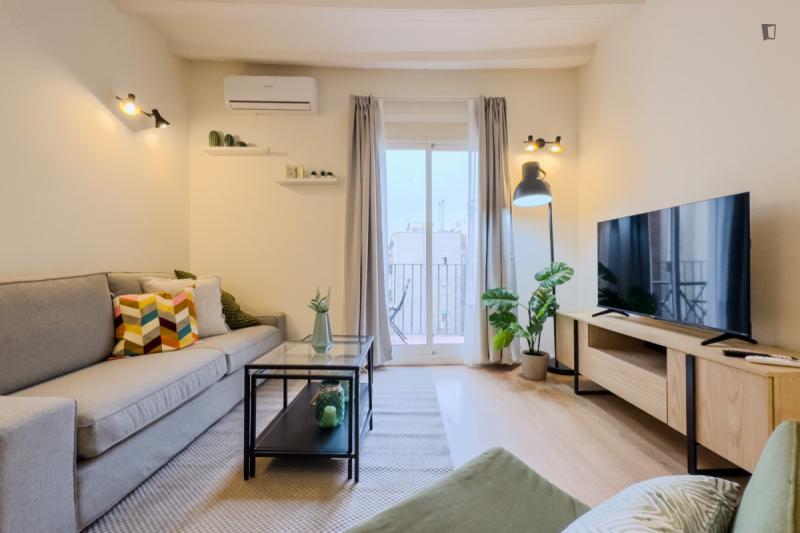 Furnished 2-bedroom flat in Ciutat Vella
