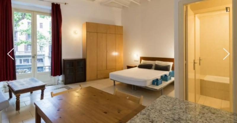 Furnished studio in Ciutat Vella