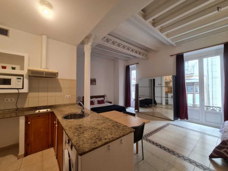 Furnished studio in Ciutat Vella
