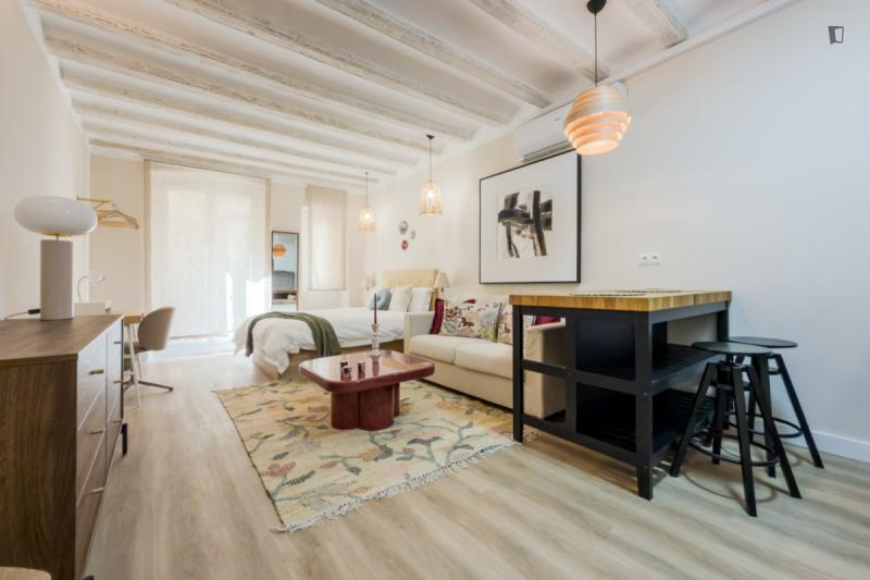 Furnished studio in Ciutat Vella