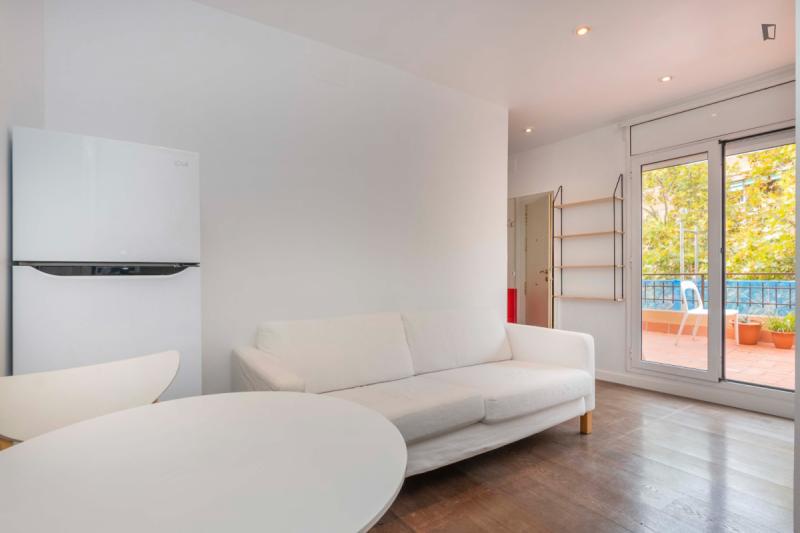 Furnished 1-bedroom flat in Gràcia