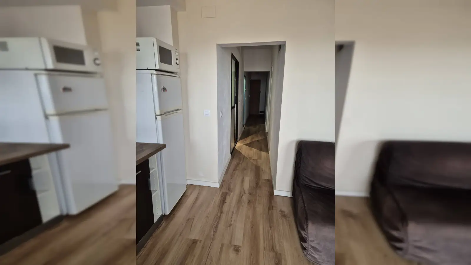 Furnished 2-bedroom flat in Santa Coloma, 54 m² · 4